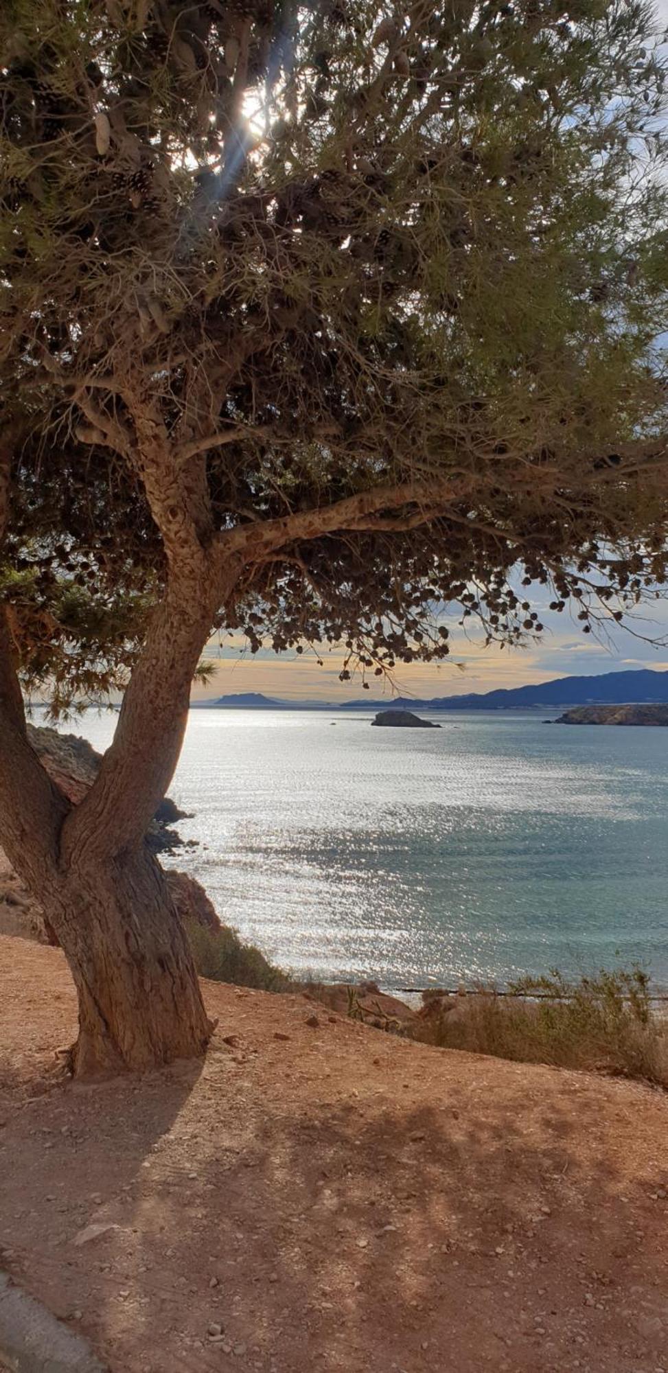 Acogedor Apartamento De Playa El Puerto de Mazarrón Exteriér fotografie